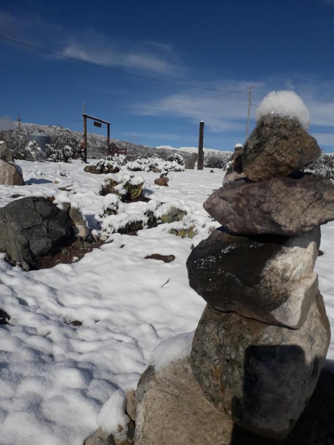 Cabana La Linda - Complejo El Taller Potrerillos Eksteriør billede